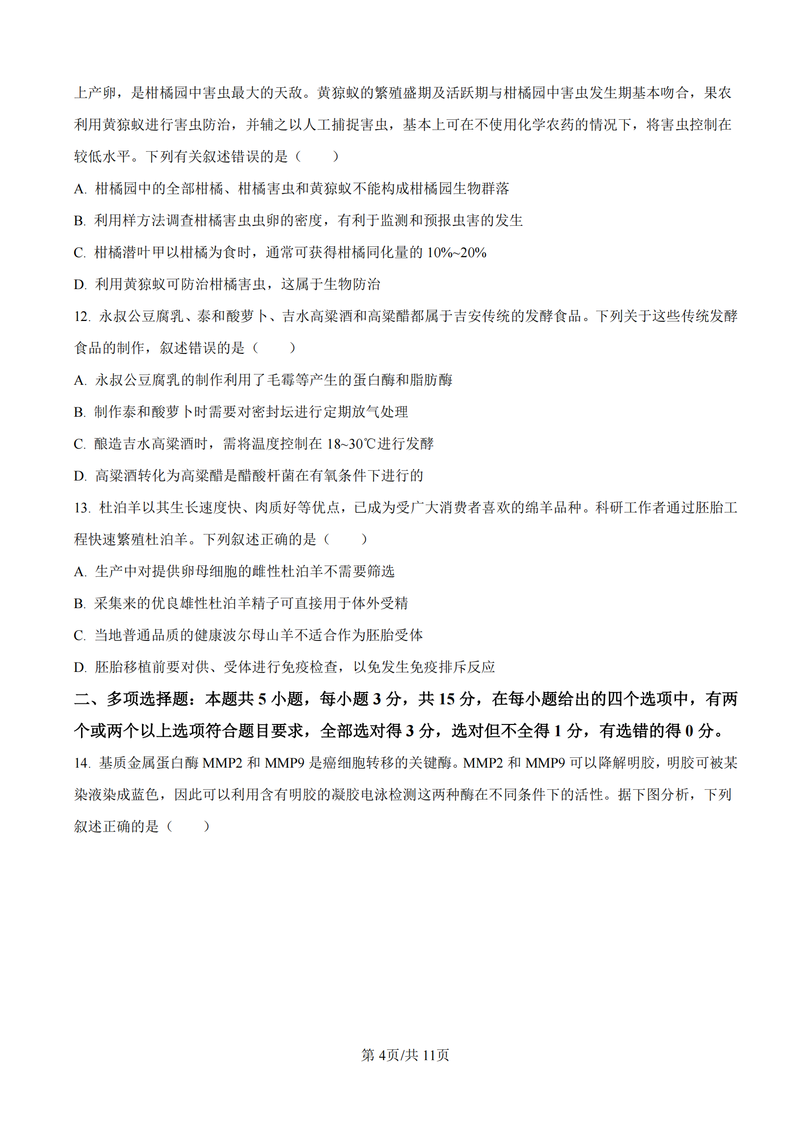 生物_03.png